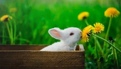 九游9游-英超激烈争夺，豪门战火升腾