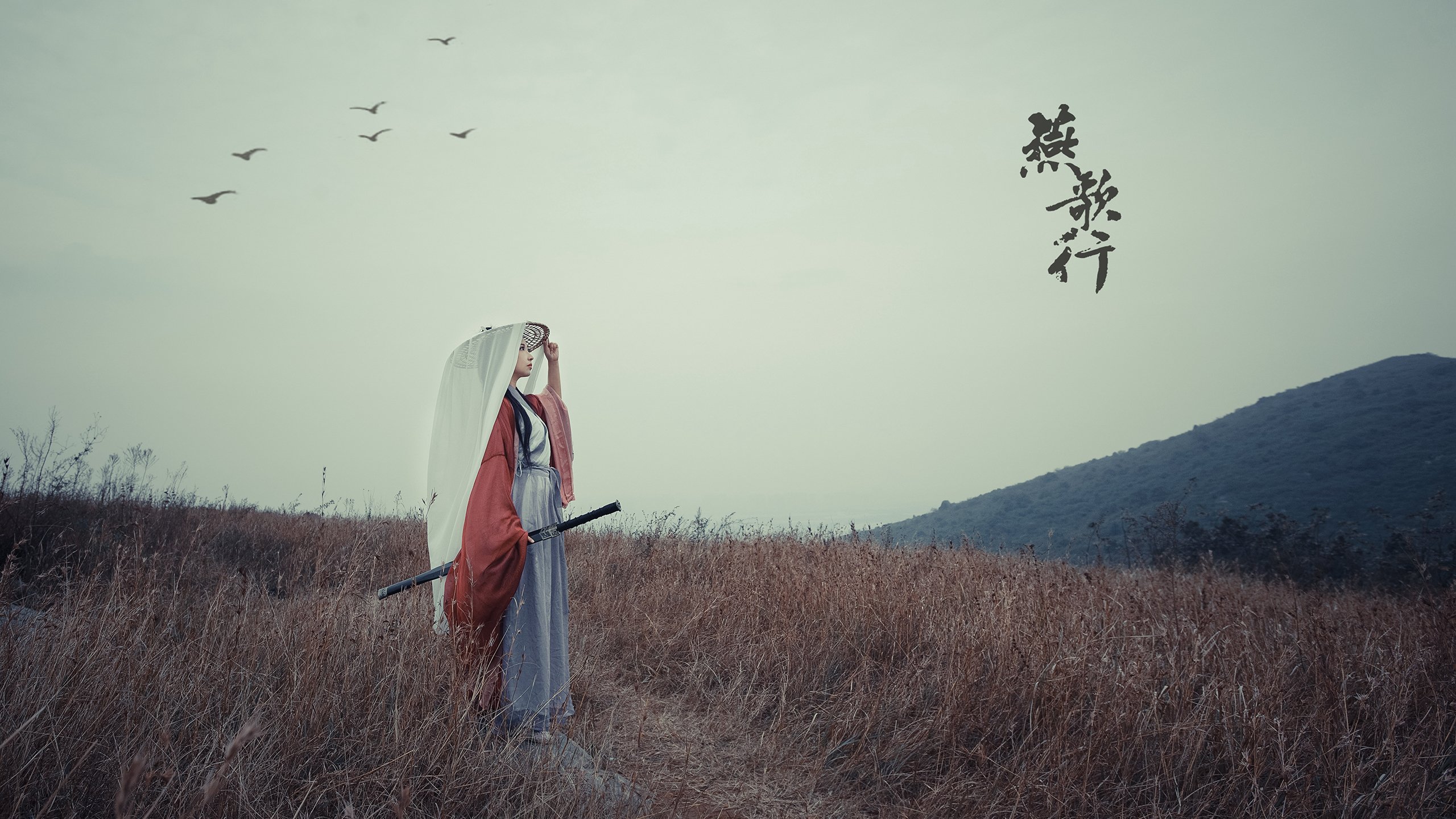 JIUYOU GAMING-_鹈鹕展现团队合作，稳步前进季后赛候补名单_，鹈鹕队季后赛战绩