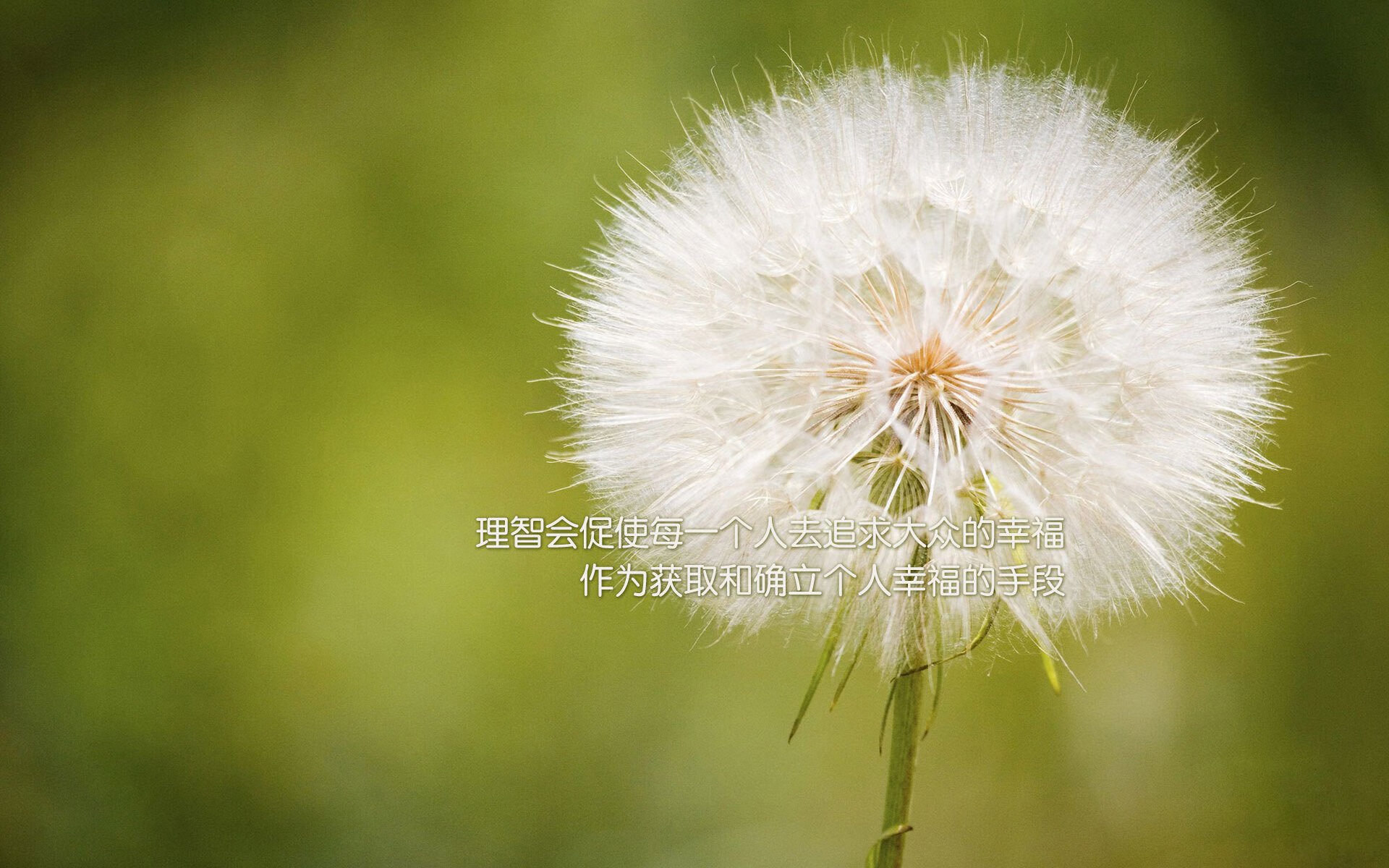 九游登录中心-“意甲战况火爆，多支球队争夺前四名”，意甲战绩